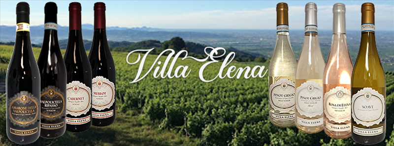Villa Elena